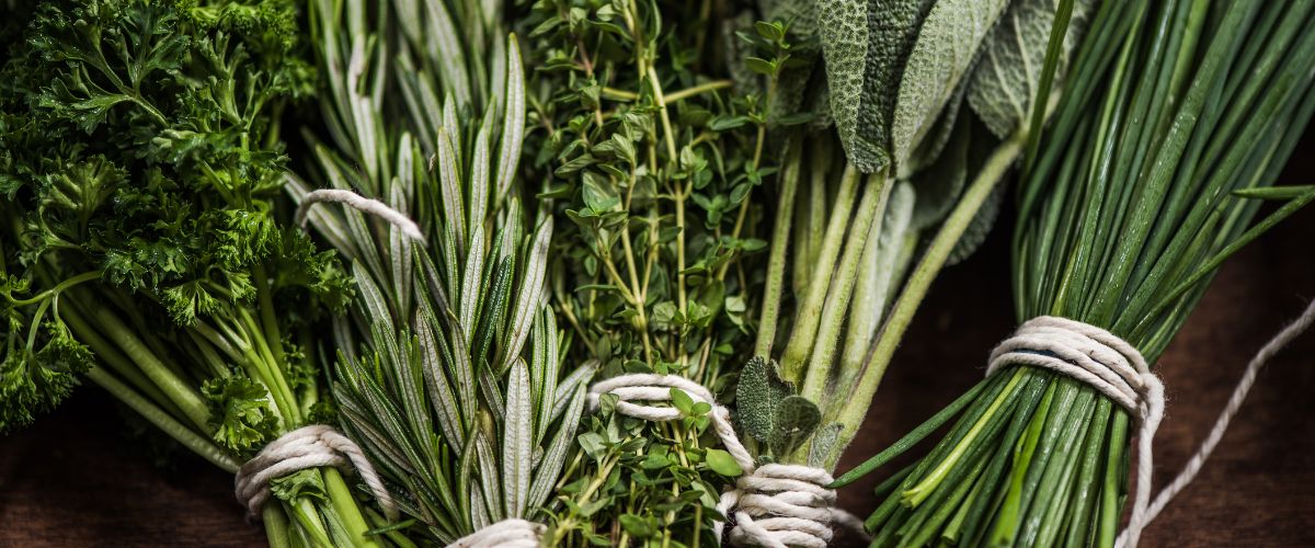 Guida all’uso delle erbe aromatiche: gli abbinamenti migliori in cucina