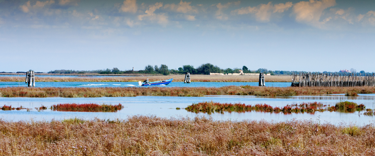 Miele Grezzo Bio di Barena: dalla laguna di Venezia una delizia gourmet